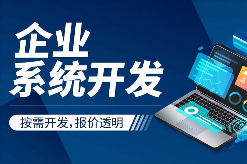 成都软件开发：信息技术的创新引擎